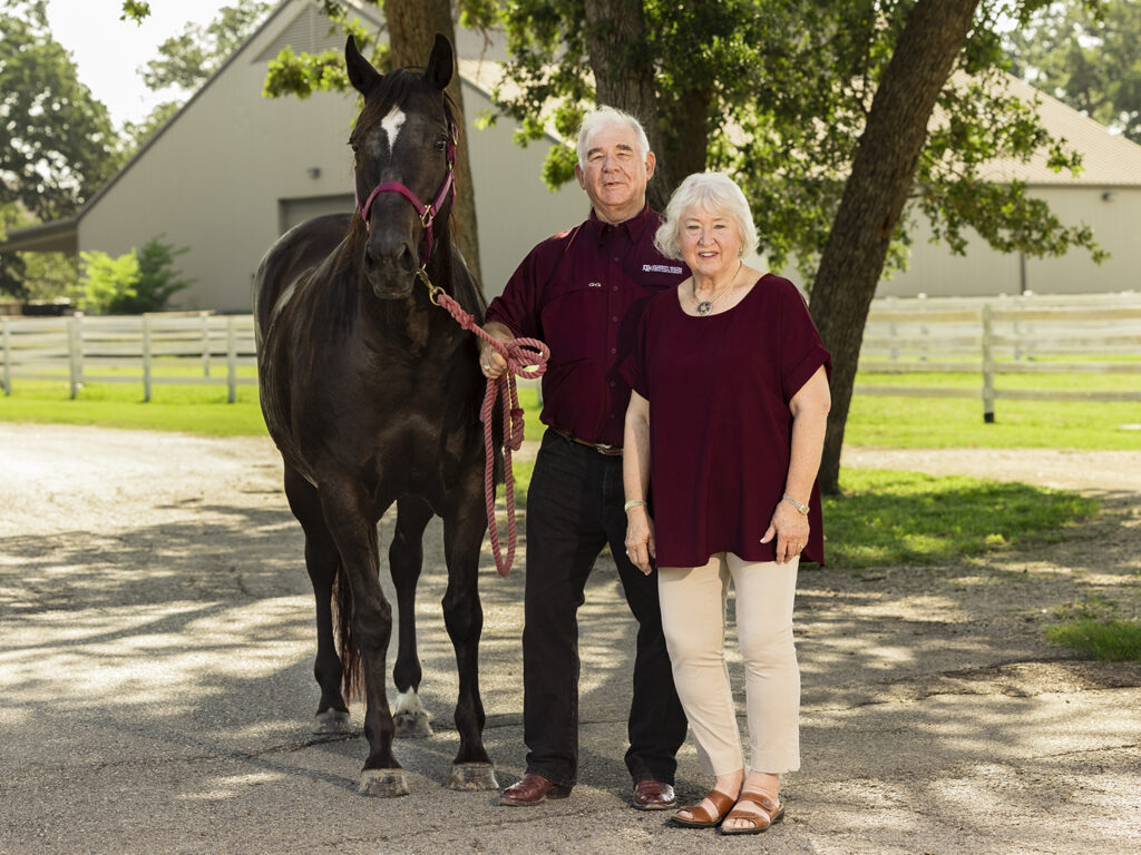 The Turners with a dark brown horse