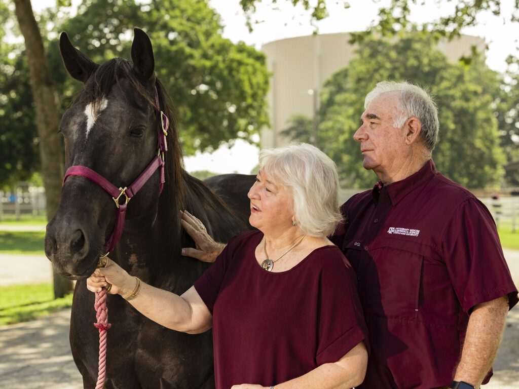 The Turners looking at and petting a dark brown horse