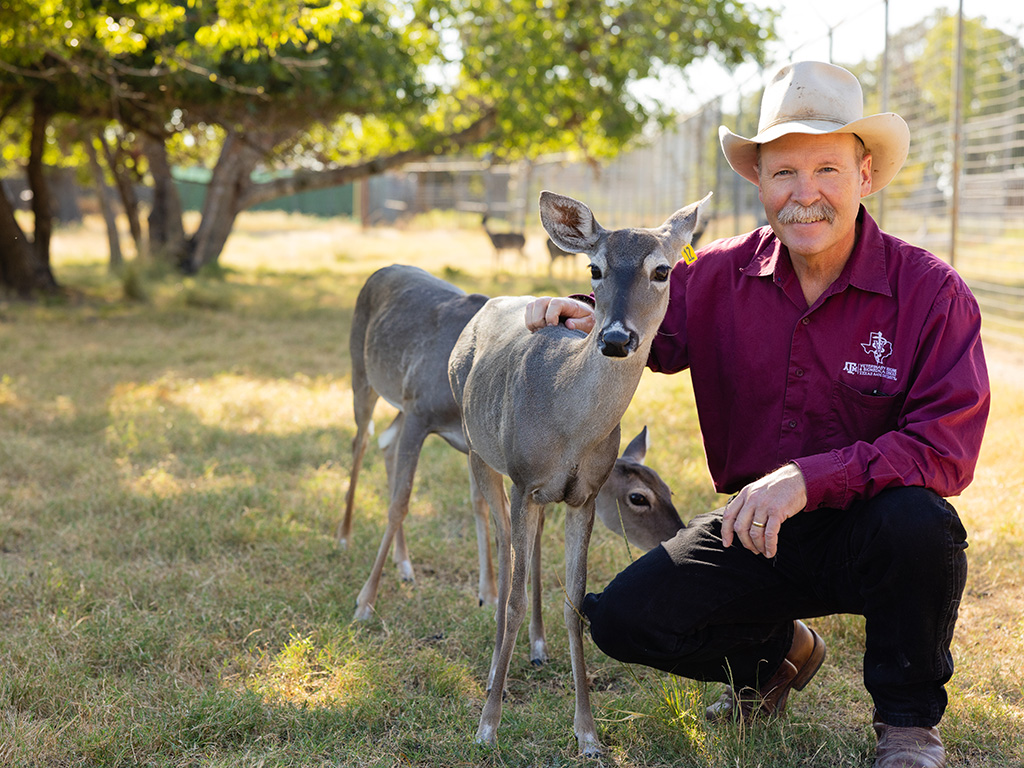 A Texas A&M professor kneels beside a white-tailed deer.