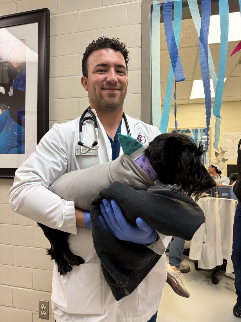 A veterinary student in a white coat holding a black dog in a shark costume.