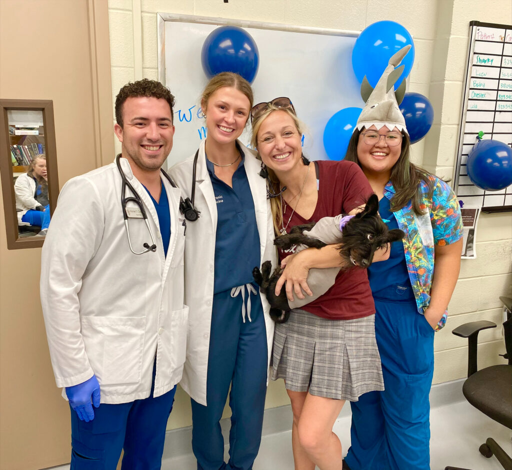 Three veterinarians and a  woman holding a black dog with shark-themed party decorations.