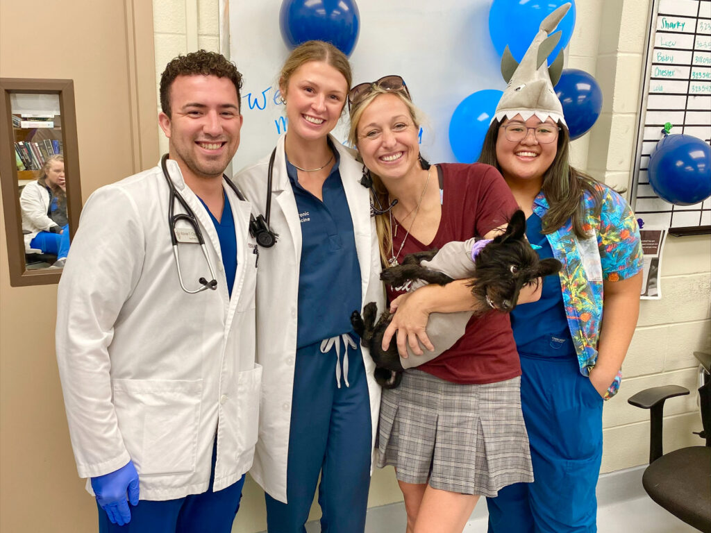 Three veterinarians and a woman holding a black dog with shark-themed party decorations.