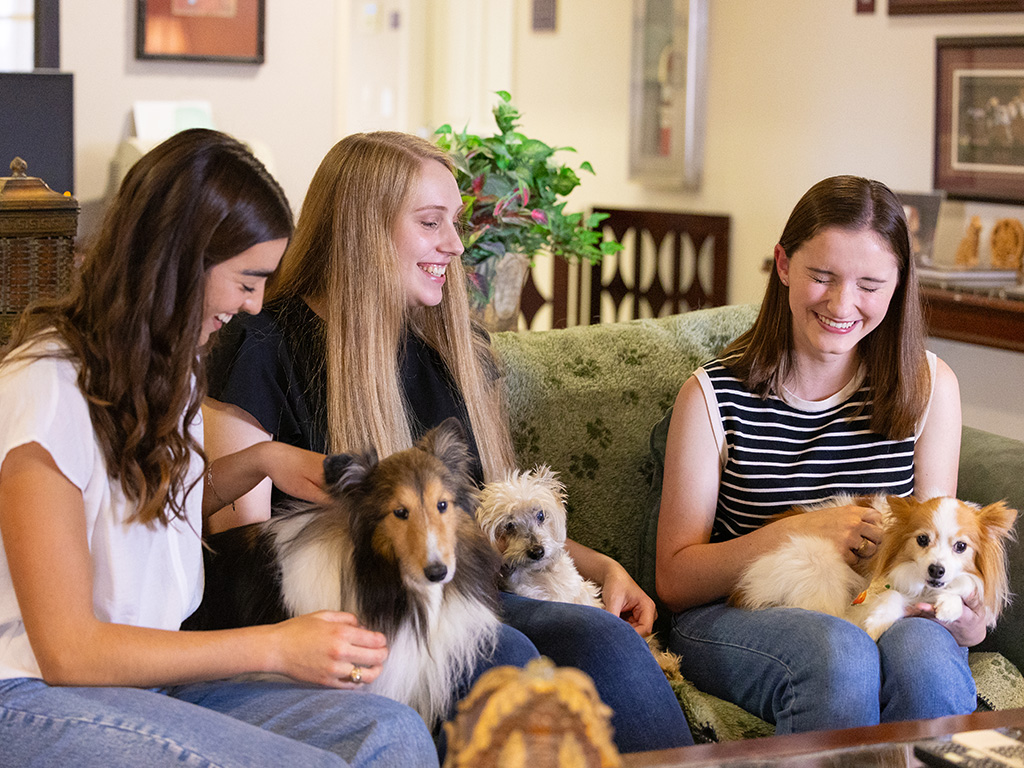 Three female DVM students sit on a couch with dog residents of the Stevenson Center.