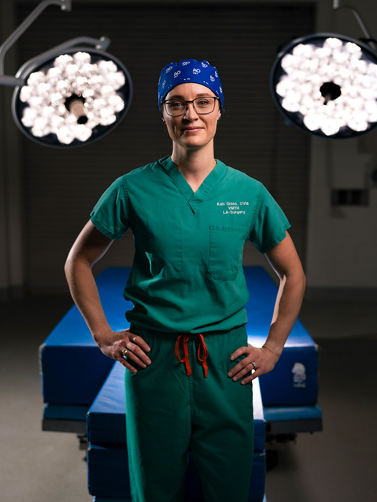 Equine specialist Dr. Kati Glass, who leads the way in innovative teaching and patient care.