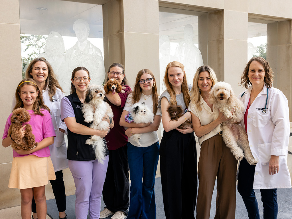 Eight women holding a variety of Pomeranians and other small dogs as pat of a collaboration between veterinarians and a dog rescue to help small dogs.