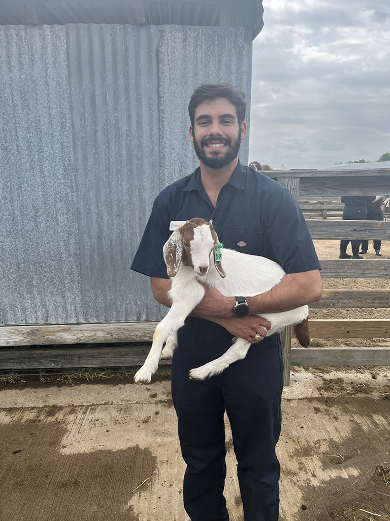 A veterinary student holding a goat.