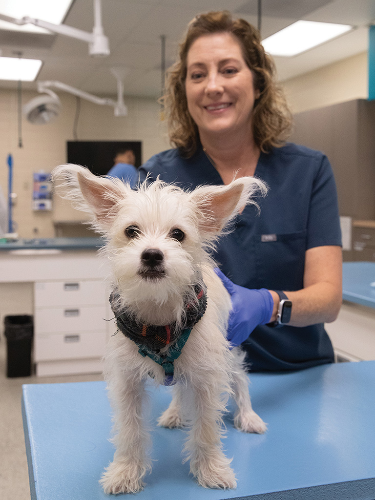 A veterinary technician and a small white dog.