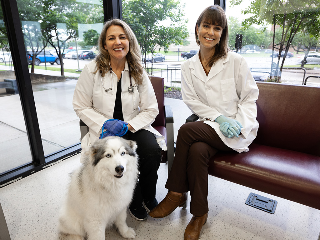 Two veterinarians and a white husky.