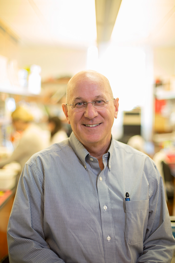 A headshot of a professor in a laboratory.
