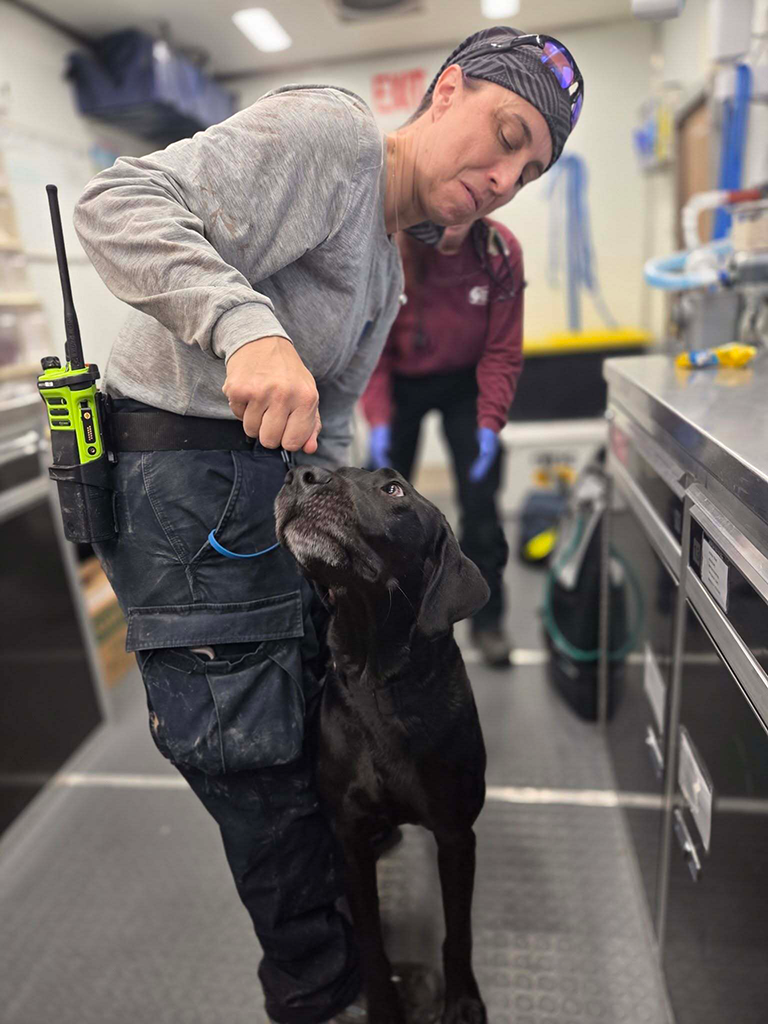 A disaster relief volunteer feeds a black dog a treat.