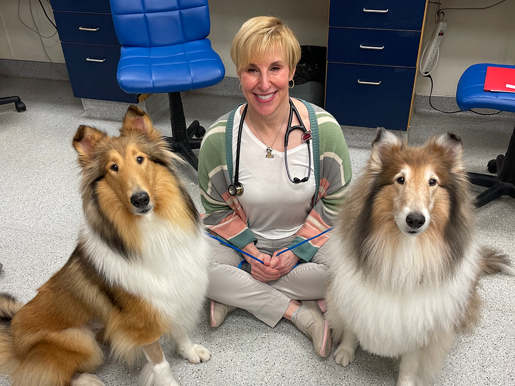 A veterinarian sits on the floor between two Rough Collies.