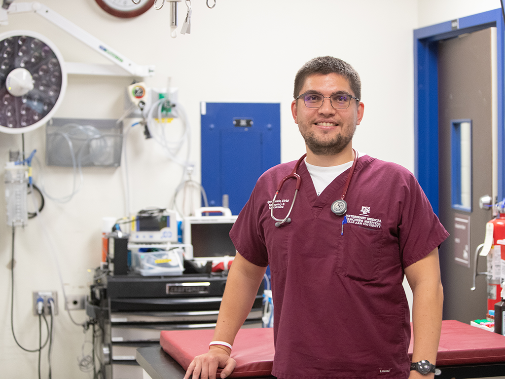 A veterinary clinician in maroon scrubs