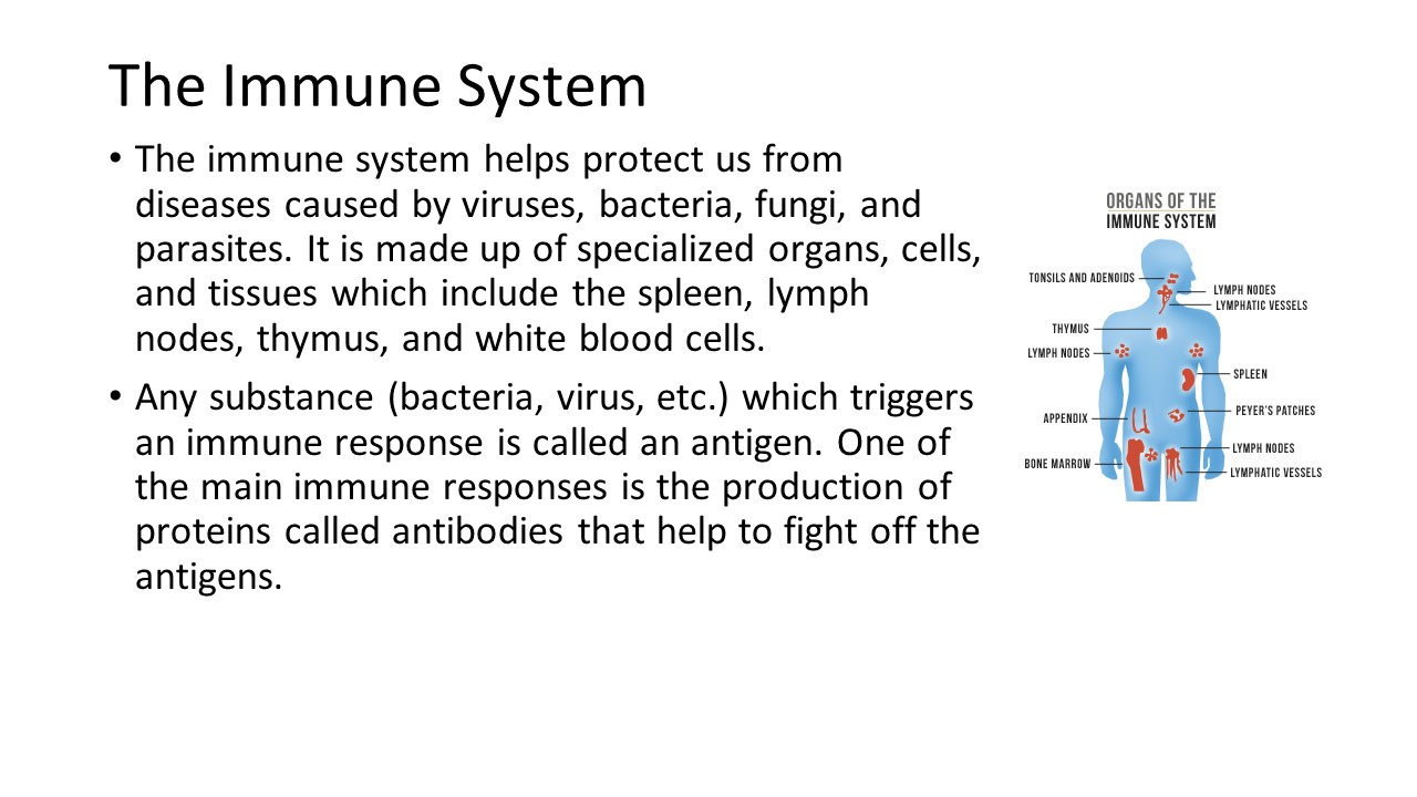 Case Study: Influenza | PEER Program