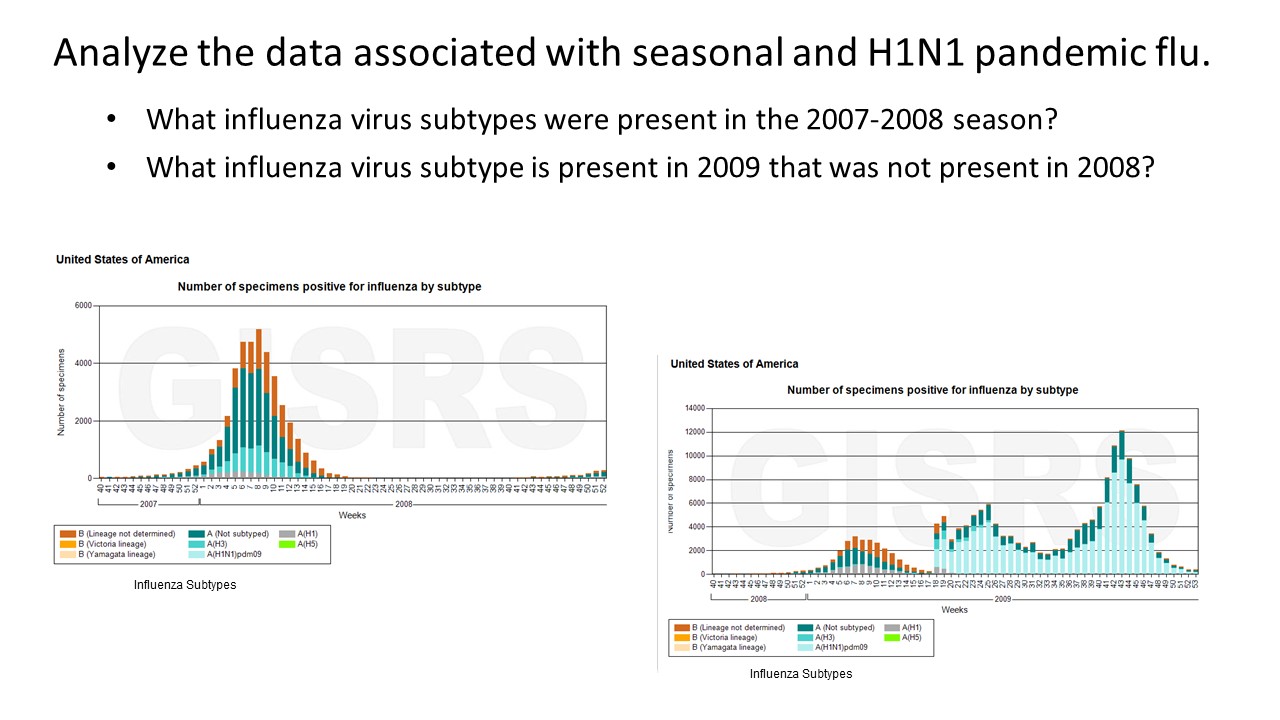 a case study influenza