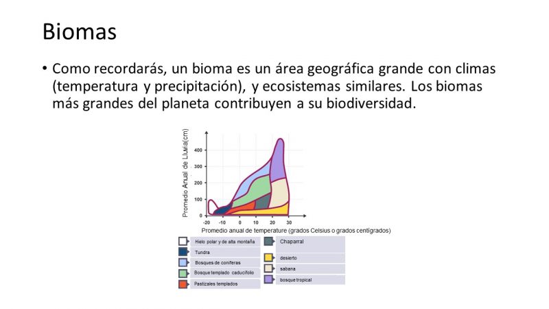Ecosystem Essential Knowledge Spanish 1