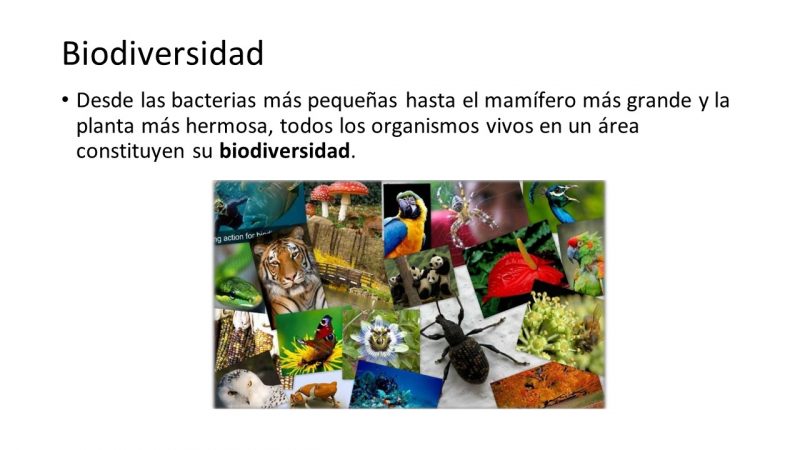 Slide44