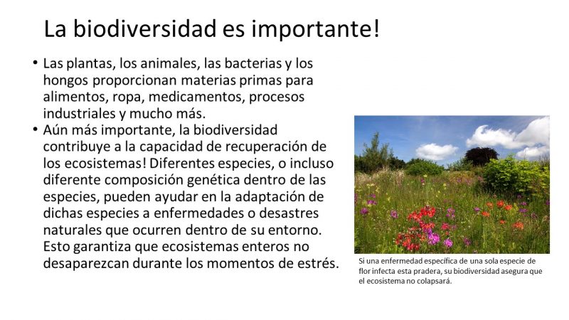 Slide47