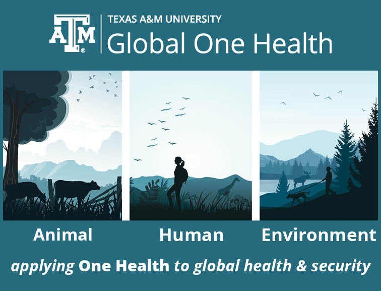 Global One Health infographic