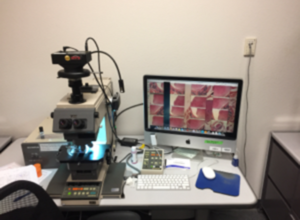 Digital Imaging Gel Doc Facility equipment
