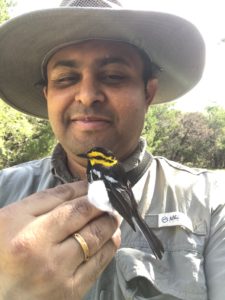 Dr. Giri Athrey holding a small black, white, and yellow bird.