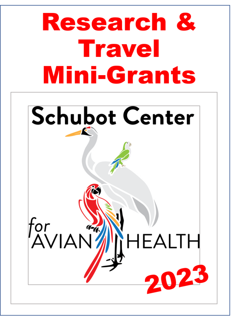Schubot Mini Grants_2023