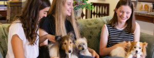 Three veterinary student residents relaxing with three canine, long-term pet residents in the living room at the Stevenson Center