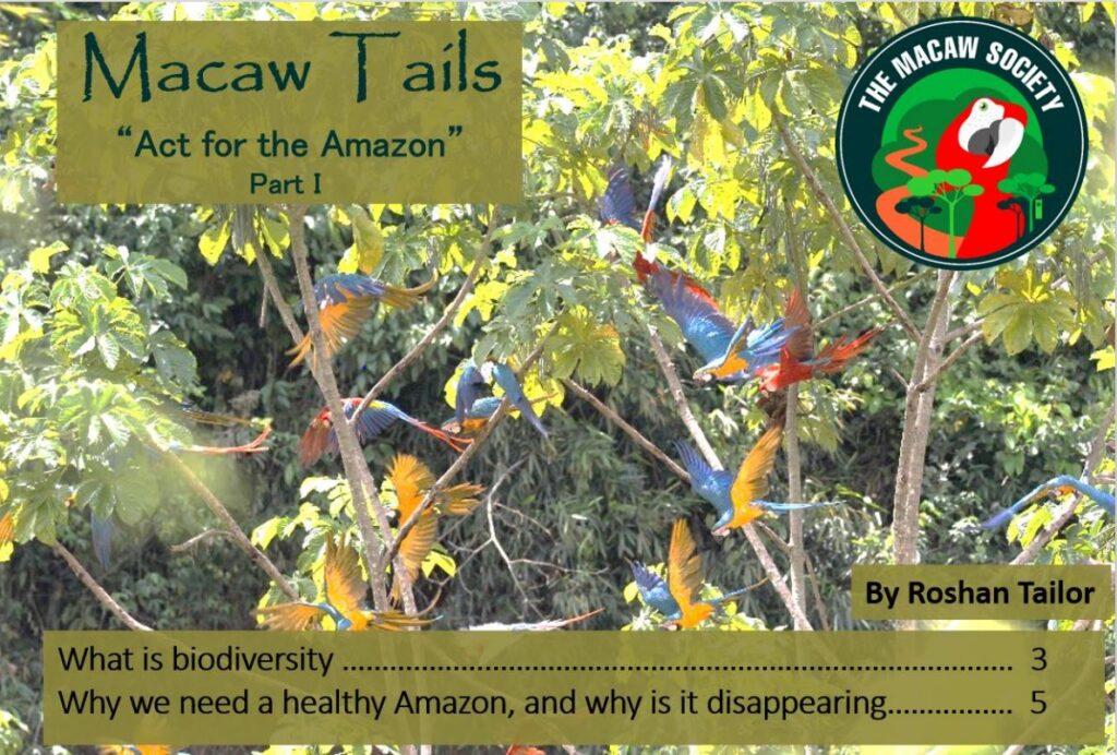 Macaw Tails - "Act for the Amazon" Part 1