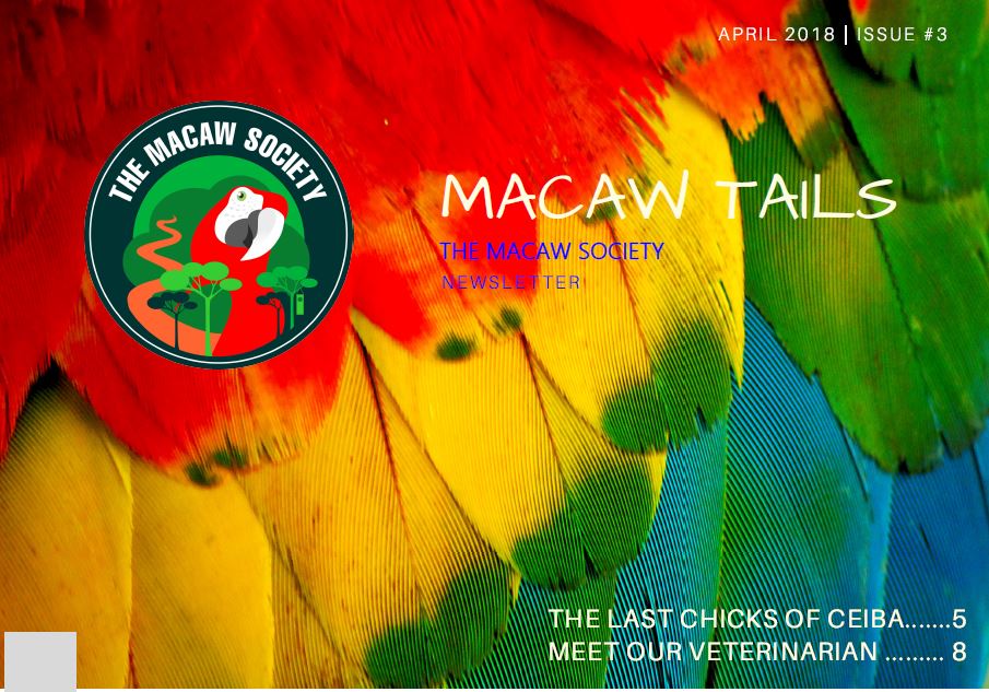 Macaw Tails - The Macaw Society Newsletter, Issue #3