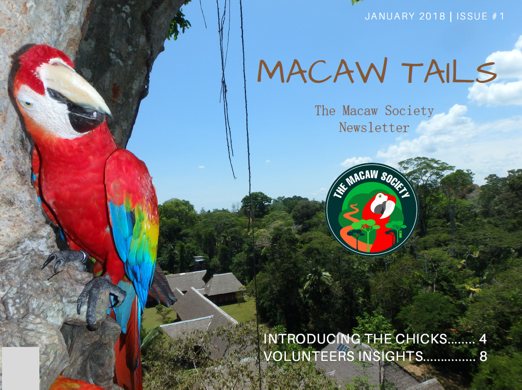 Macaw Tails - The Macaw Society Newsletter, Issue #1