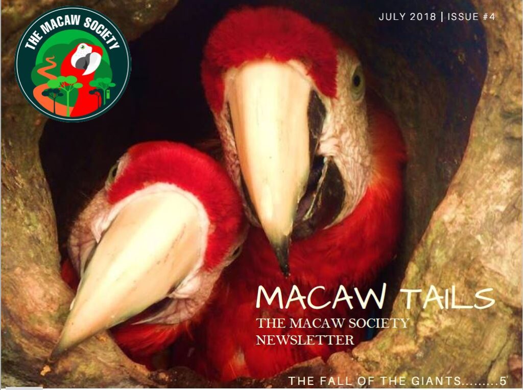 Macaw Tails - The Macaw Society Newsletter, Issue #4