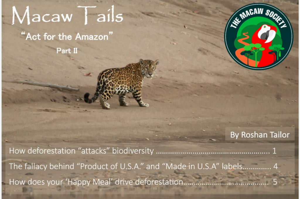 Macaw Tails - "Act for the Amazon" Part 2