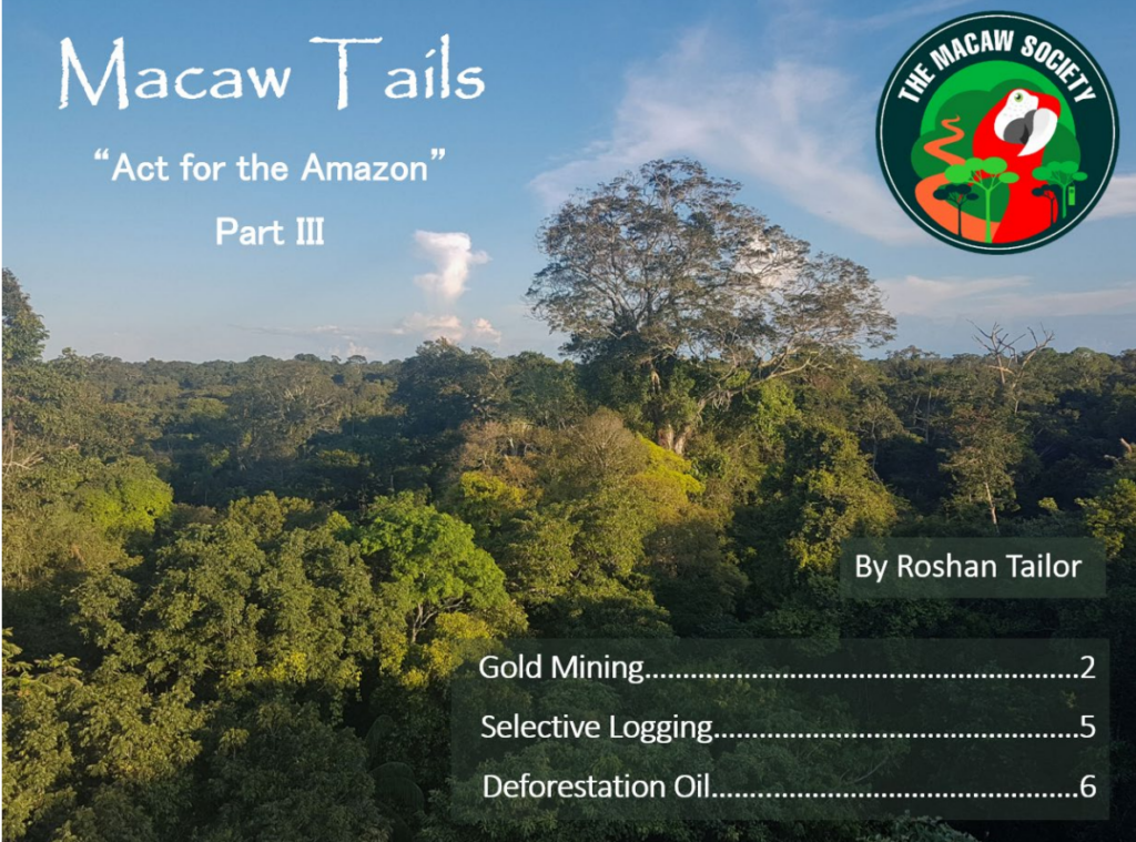 Macaw Tails - "Act for the Amazon" Part 3