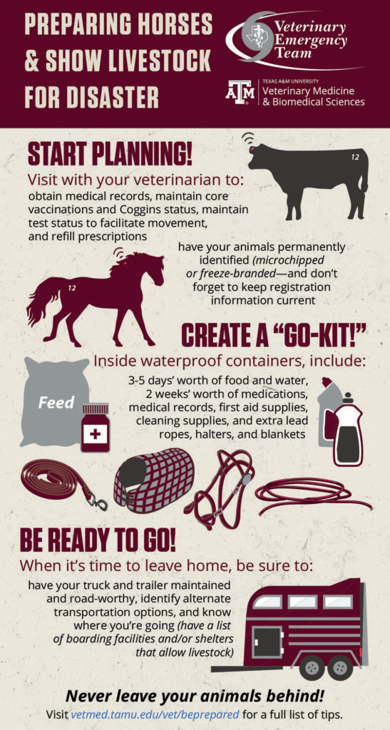 The VET wants you to Be Prepared. Use this Preparing Horses & Show Livestock for Disaster infographic to help.