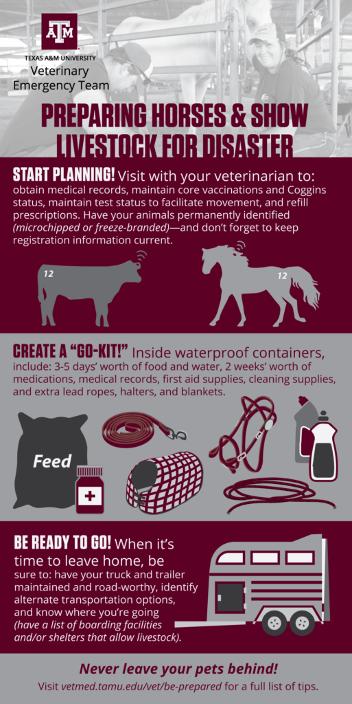 The VET wants you to Be Prepared. Use this Preparing Horses & Show Livestock for Disaster infographic to help.