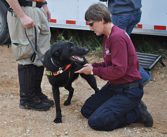 Texas A&M Veterinary Emergency Team (VET) Director examines a search-and-rescue canine in the field