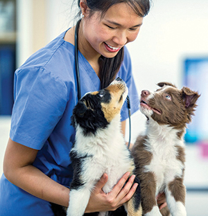 Female Veterinarian With Two Puppies