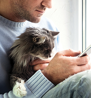 Man With Cat Using Mobile Phone
