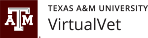 Texas A&M University VirtualVet Logo