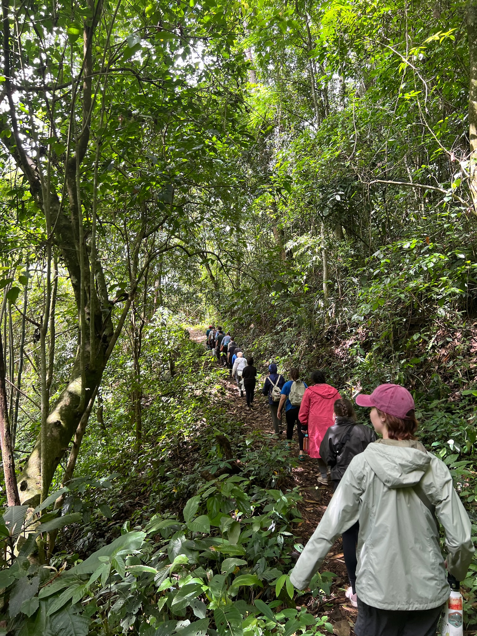 Our group on one of our many hikes