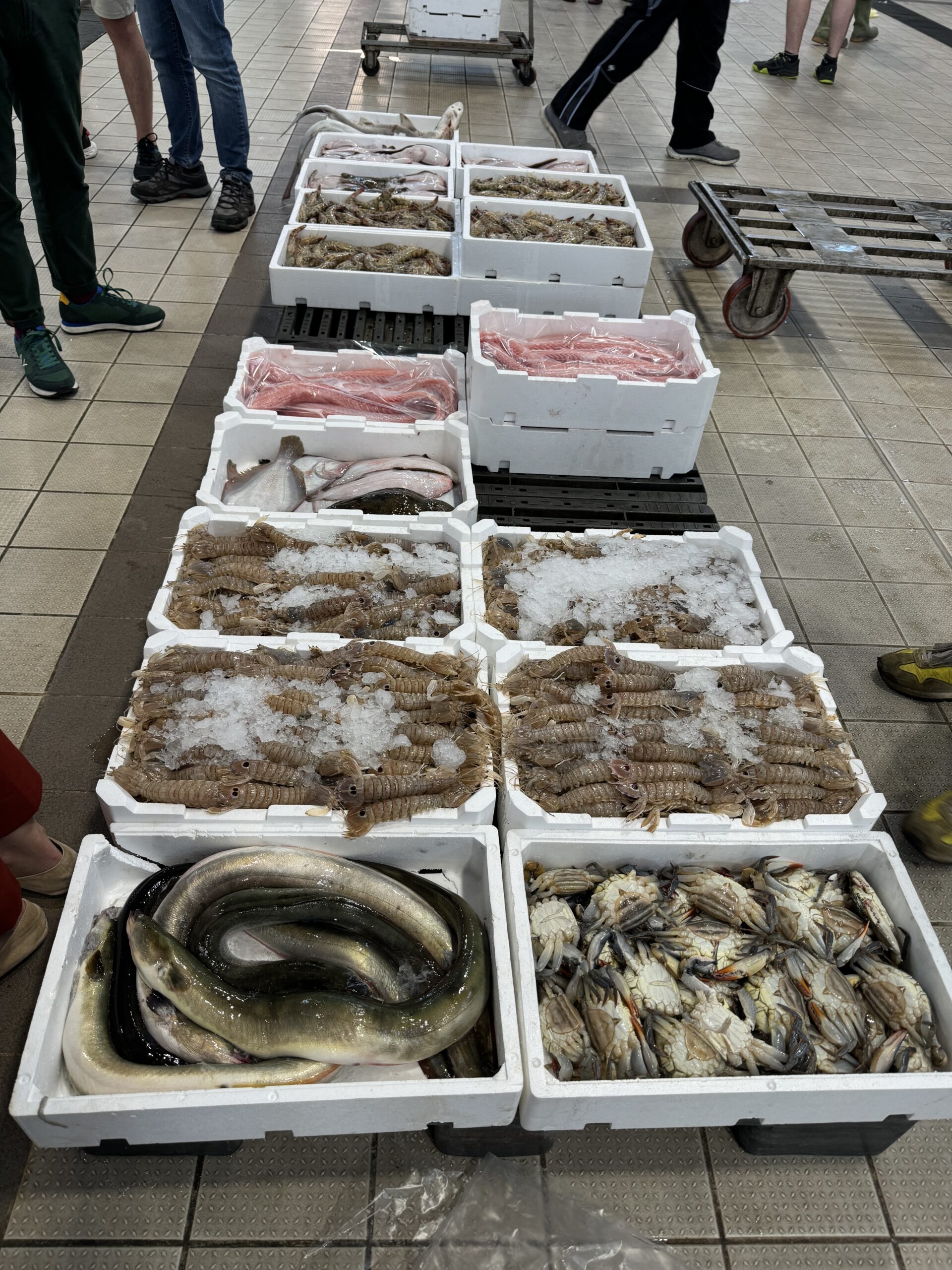 The Fish Market.