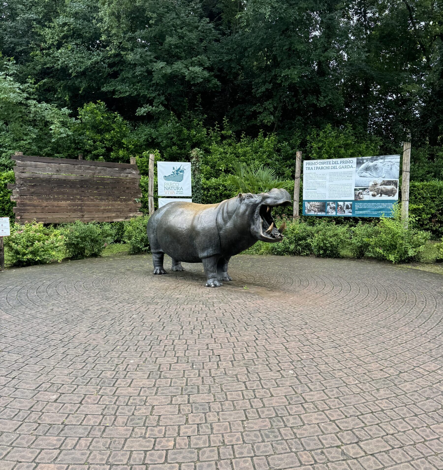 The statue's teeth were rubbed gold by tourists.