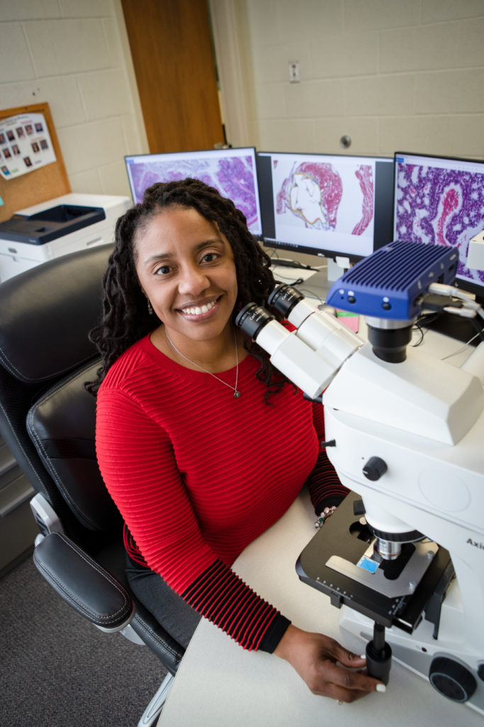 Home - VMBS Histology Laboratory