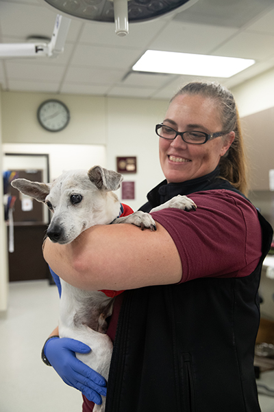 A technician hugs a canine patient in a treatment area of the Texas A&M Small Animal Teaching Hospital.