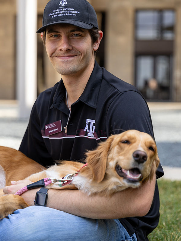 A DVM Student holds a golden retriever dog in the courtyard at the Texas A&M Veterinary & Biomedical Education Complex