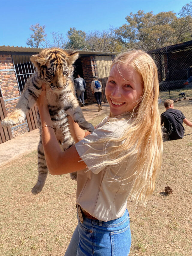 A student conducts holds a young exotic animal during an Education Abroad trip.