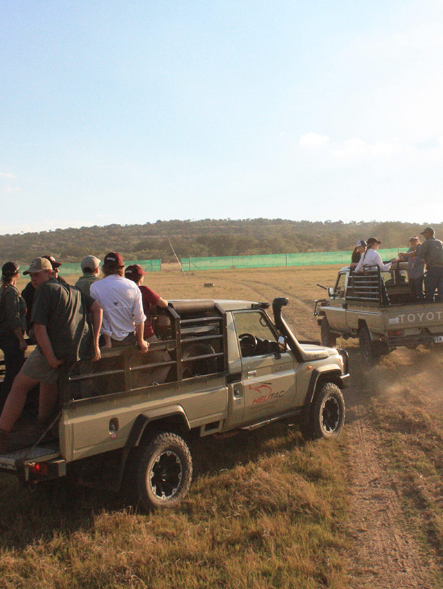 Education Abroad students and guides ride in trucks to find animals.