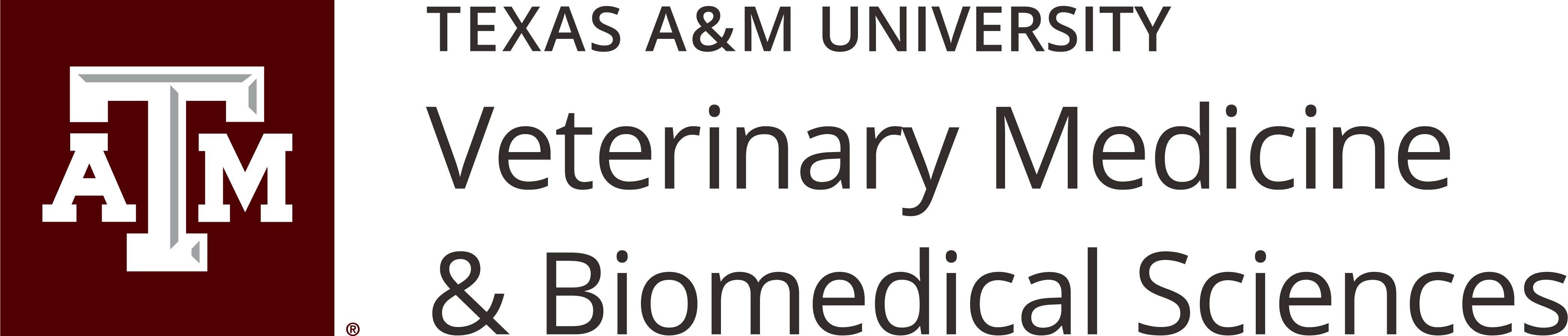 CVM Today - Summer 2015 by Texas A&M School of Veterinary Medicine