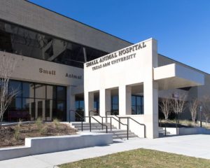 Small Animal Hospital