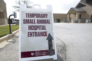 Temporary Small Animal Hospital Entrance Sign
