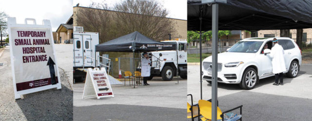 Temporary Small Animal Hospital Entrance set up during COVID-19 VMTH operations